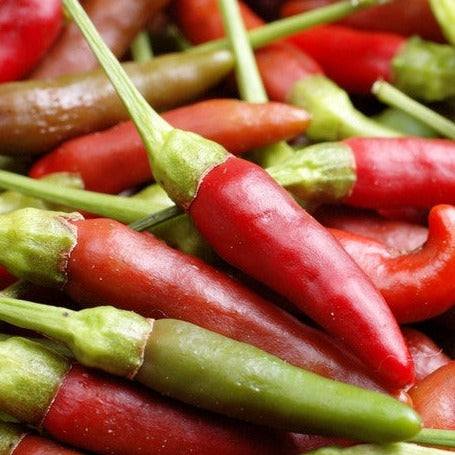 Close-up of red and green Bird's Eye chili peppers with smooth skin and green stems
