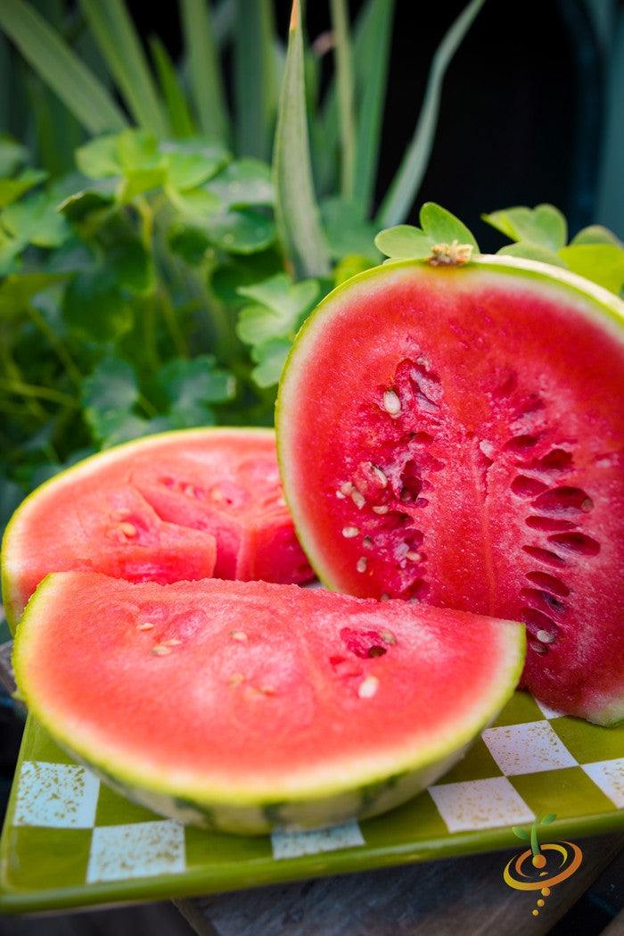 Ripe sliced Sugarbaby watermelon with bright red flesh and seeds on a green plate outdoors