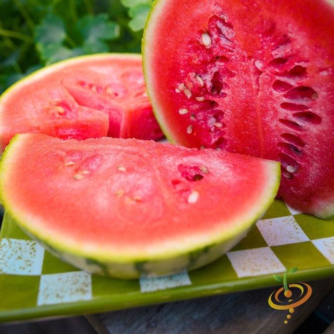 Close-up of sliced Watermelon Sugarbaby with bright red flesh and seeds on patterned plate