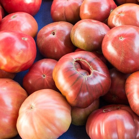 Pink Brandywine Tomato Seeds | Large, Sweet, Tangy Indeterminate