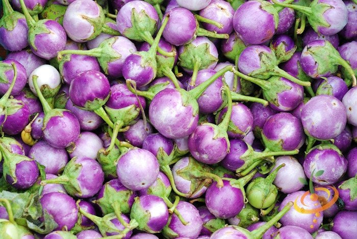 Close-up of round mauve eggplant (aubergine) fruits with green stems, showing heirloom variety characteristics.