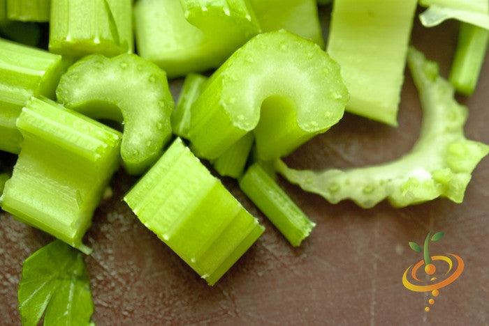 Fresh tall Utah celery plant with lush green stalks, grown from SeedsNow celery seeds, ready for harvest or planting.