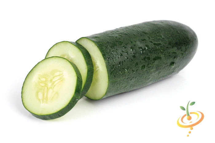 Fresh sliced Straight 8 cucumber with dark green skin on white background