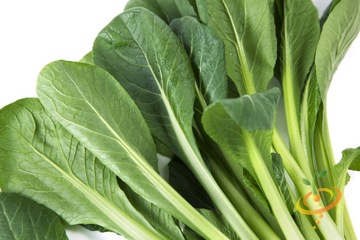 Fresh green mustard tendergreen leaves closely arranged on white background