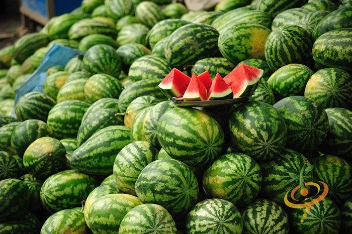 Crimson Sweet watermelon seeds from SeedsNow, showing vibrant seed packets for planting and growing delicious watermelons.