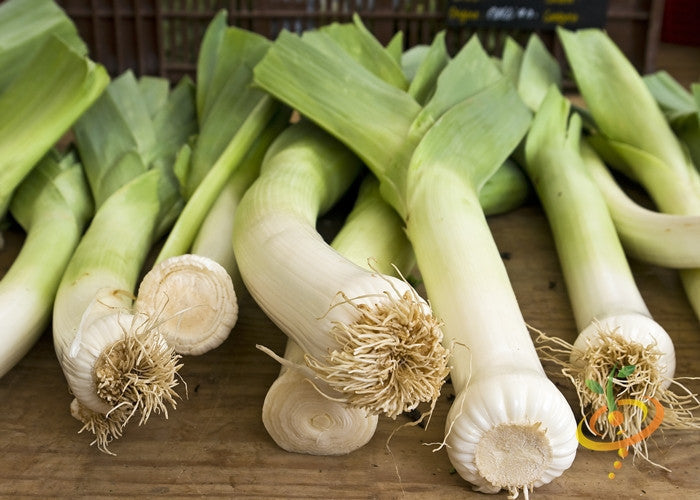Fresh leeks with green foliage and white bottoms displayed on a wooden surface