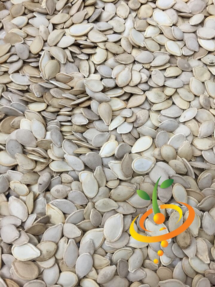 Close-up of mixed gourd seeds for planting crafts and decoration projects