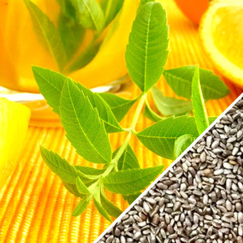 Fresh lemon and mint seeds from SeedsNow, ideal for planting and growing aromatic lemon-mint herbs at home.
