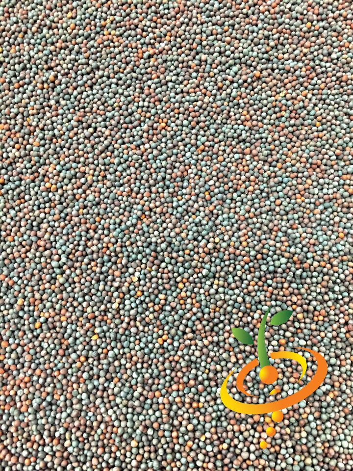 Close-up of mustard Mizuna seeds with orange and green logo on the bottom right