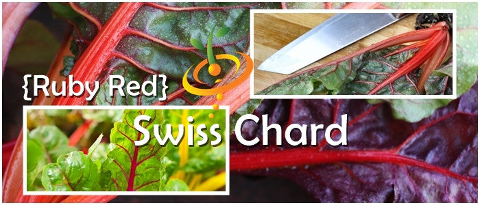Ruby Red Swiss Chard seeds from SeedsNow, showing vibrant seed packets with colorful Swiss Chard leaves and seeds.