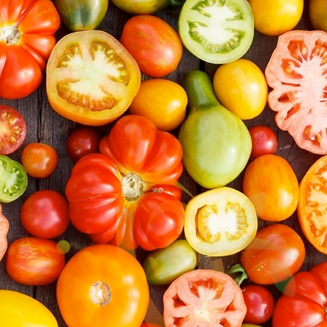 What is the Difference Between Indeterminate and Determinate Tomatoes?