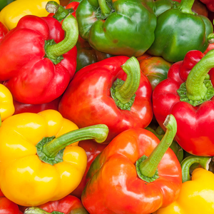 *New!* 50-in-One Complete Garden Abundance Collection (with Black Seed Storage Vault)