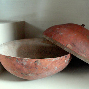 Gourd harvest bowl seeds from SeedsNow, showing gourd seeds in a natural setting with traditional tools and utensils.