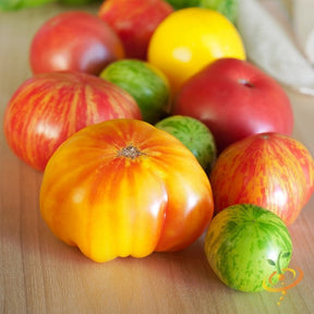 Heirloom Rainbow Mix indeterminate tomato seeds from SeedsNow, showing vibrant colorful tomato varieties in the image.