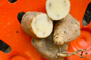 Organic Russian Banana fingerling potato seed from SeedsNow-Potatoes, showing elongated, yellow-skinned late-season potato tubers.