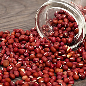 Fresh adzuki bean sprouts from SeedsNow, vibrant microgreens with green stems and tiny leaves, ready for salads or garnishes.