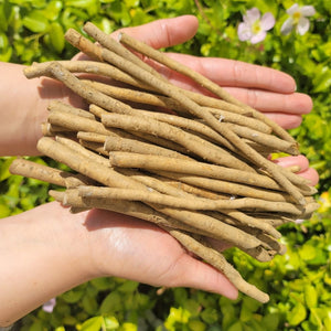 Large horseradish root from SeedsNow-Horseradish, fresh and earthy with a rough, brown exterior and white interior visible.